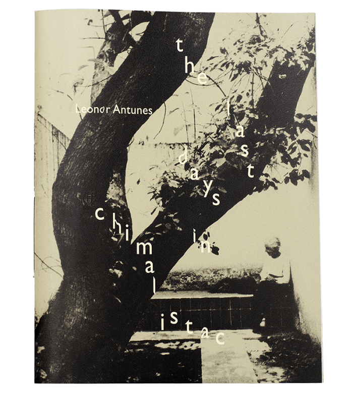 Leonor Antunes, the last days in chimalistac