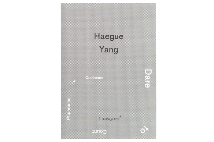 Haegue Yang: Dare to Count Phonemes and Graphemes