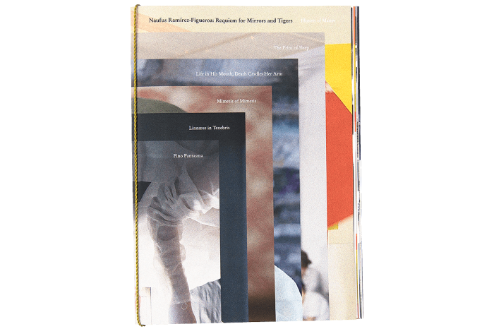 Naufus Ramírez-Figueroa: Requíem for Mirrors and Tigers