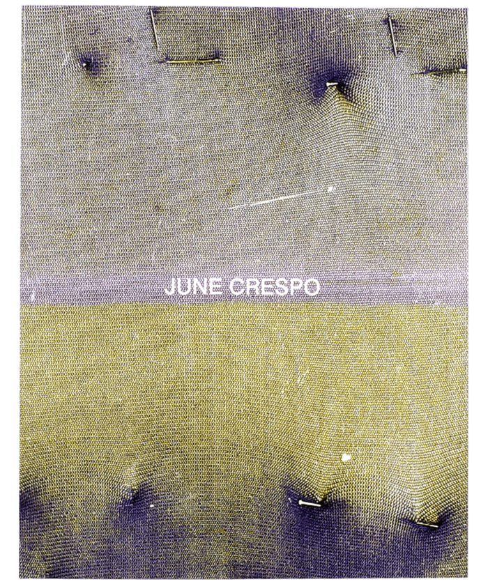June Crespo, Vieron su casa hacerse campo