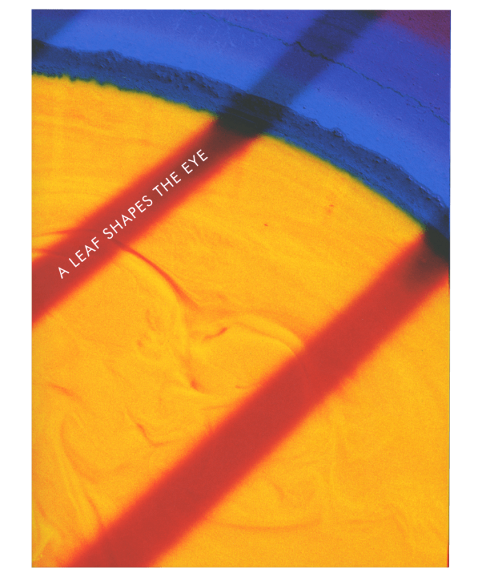 Daniel Steegman Mangrané, A Leaf Shapes the Eye