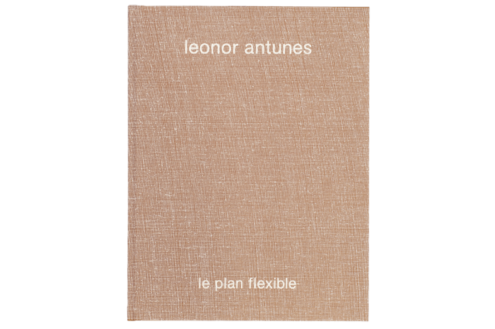 Leonor Antunes, le plan flexible