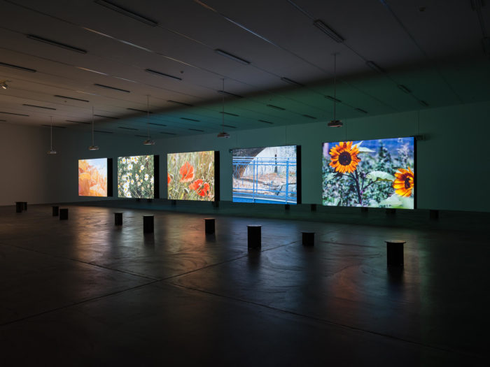 Rose Lowder, Bouquets